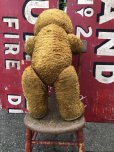 画像3: Vintage Teddy Bear Big Size (M696)