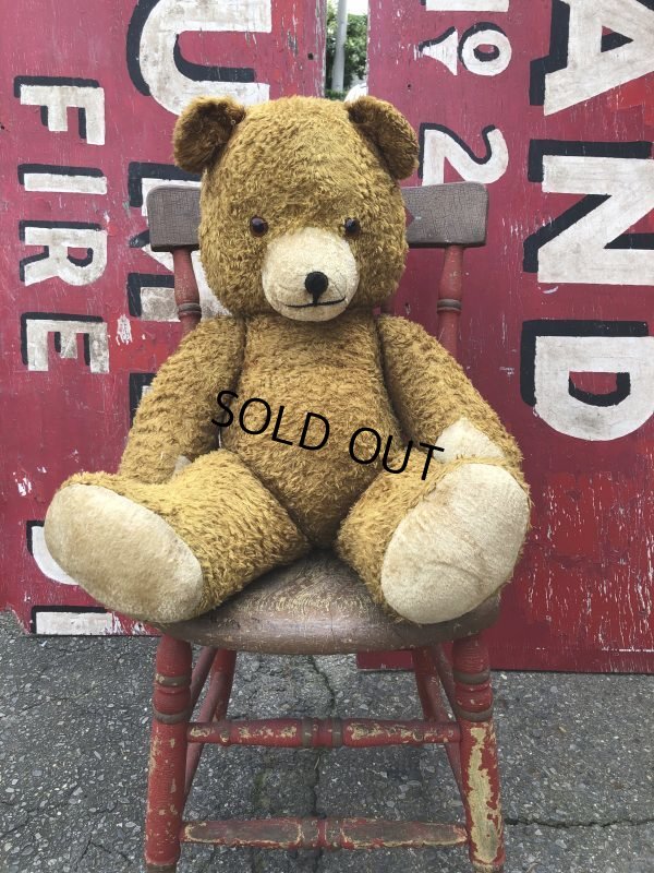 画像1: Vintage Teddy Bear Big Size (M696)