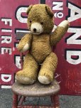 画像5: Vintage Teddy Bear Big Size (M696)