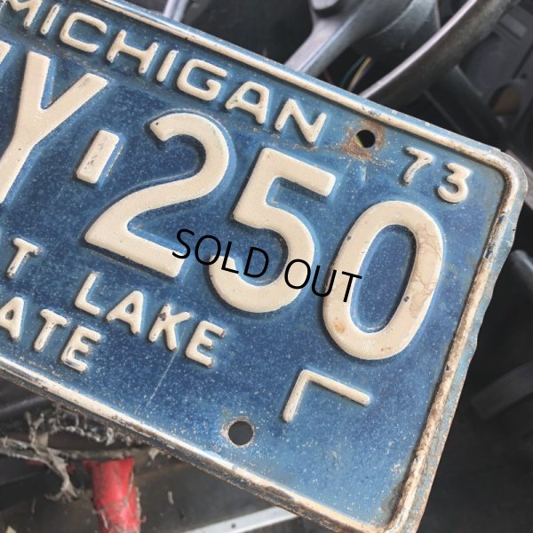 画像2: 70s Vintage American License Number Plate / MICHIGAN 250 (M716)