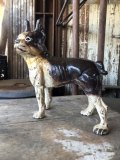 Antique Cast Iron  Boston Terrier Doorstop Statue (M820)