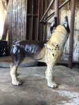 画像5: Antique Cast Iron  Boston Terrier Doorstop Statue (M820)