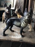 画像23: Antique Cast Iron Boston Terrier Doorstop Statue (B818)