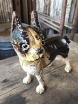 画像12: Antique Cast Iron  Boston Terrier Doorstop Statue (M820)