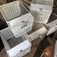 画像12: Vintage Metal Wire Locker Basket w/ Number Plate GB-415 (M857)