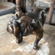 画像12: Vintage Brass Bulldog (B868) 