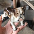 画像10: Vintage Ceramic Bulldog (B866) 