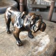 画像8: Vintage Brass Bulldog (B868) 