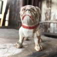 画像4: Vintage Stone Ware Bulldog (B867) 