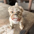 画像5: Vintage Stone Ware Bulldog (B867) 