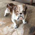 画像6: Vintage Ceramic Bulldog (B866) 