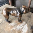 画像7: Vintage Brass Bulldog (B868) 