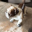 画像7: Vintage Ceramic Bulldog (B866) 