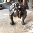 画像11: Vintage Brass Bulldog (B868) 