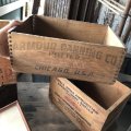 Vintage Wood Box Armour Canning Co. HAM (M883)