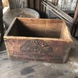 画像6: Vintage Wood Box SELBY LOADS SHOT GUN (M884)