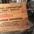 画像4: Vintage Wood Box Western Xpert LOADED SHOT SHELLS (M886)