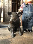 画像5: 40s Vintage Chicago Stockyard Souvenir Cast Iron Copper Wash Piggy Bank (M951) 