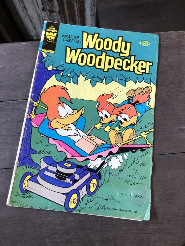 画像1: 80s Vintage WHITMAN Comic Woody Woodpecker (R108) 