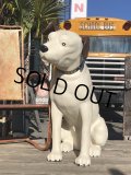 Vintage RCA Victor Advertising NIPPER The Dog Record Store Display Statue Huge (R278)