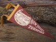 画像1: Vintage Souvenir Pennant / NEW JERSEY (NK-514)  (1)