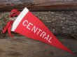 画像1: Vintage Souvenir Pennant / CENTRAL (NK-505)  (1)