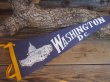 画像1: Vintage Souvenir Pennant / W,D.C (PJ499)  (1)