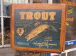 画像1: Vintage Wood TROUT Fruit Crate Box (PJ590)  (1)