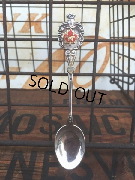 画像1: Vintage Spoon Freemason Shriner (AL123) (1)