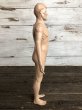 画像4: 70s Vintage Leon Schlossber Human body Model (J879)  (4)