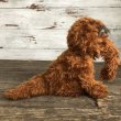 画像3: 70s Knickerbocker Snuffy Plush Doll (S092) (3)