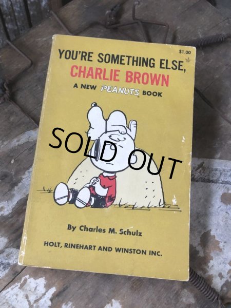 画像1: Vintage Book SNOOPY / YOU'RE SOMETHING ELSE, CHARLIE BROWN (B552) (1)