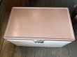 画像2: Vintage Coleman Cooler Box Butter Nuts (B739) (2)