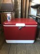 画像1: Vintage Coleman Cooler Box (B738) (1)