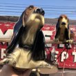 画像9: 60s Vintage FLYING A Gasoline Axelrod Basset Hound Dog Bank (B855) (9)