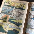 画像5: 60s Vintage DELL Comic BEEP BEEP The Road Runner (B696)  (5)