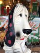 画像6: 70s Vintage NY Vinyl Plastic Sad Eye Dog Bank Basset hound White x Dot (M843) (6)