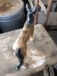 画像4: Antique Cast Iron German Shepherd Doorstop Statue (M819) (4)