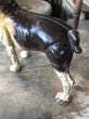 画像9: Antique Cast Iron  Boston Terrier Doorstop Statue (M820) (9)