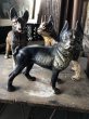 画像23: Antique Cast Iron Boston Terrier Doorstop Statue (B818) (23)