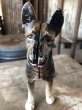 画像11: Antique Cast Iron German Shepherd Doorstop Statue (M819) (11)