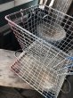 画像4: Vintage Large Wire Metal Rustic Farm Basket Heavy (M842) (4)