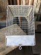 画像9: Vintage Metal Wire Locker Basket w/ Number Plate GB-51 (M855) (9)