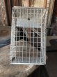 画像11: Vintage Metal Wire Locker Basket w/ Number Plate GB-718 (M852) (11)