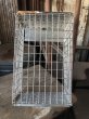 画像11: Vintage Metal Wire Locker Basket w/ Number Plate GB-415 (M857) (11)