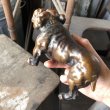 画像16: Vintage Brass Bulldog (B868)  (16)