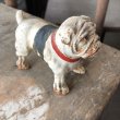 画像2: Vintage Stone Ware Bulldog (B867)  (2)