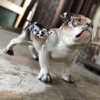 画像5: Vintage Ceramic Bulldog (B866)  (5)