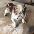 画像6: Vintage Ceramic Bulldog (B866)  (6)