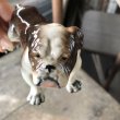 画像12: Vintage Ceramic Bulldog (B866)  (12)